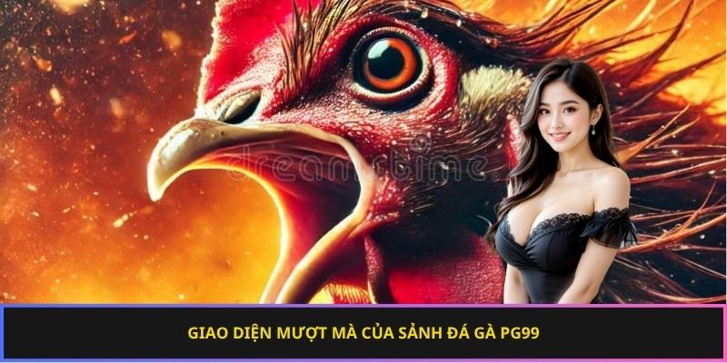 Giao diện mượt mà của sảnh đá gà km88