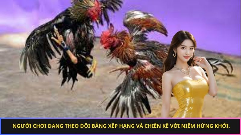 Trận đá gà thực tế tại Ws168 Đá Gà, minh bạch và kịch tính từ từng cú mổ.