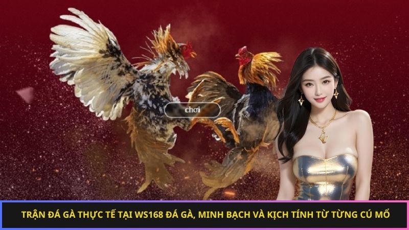 Người chơi đang theo dõi bảng xếp hạng và chiến kê với niềm hứng khởi.